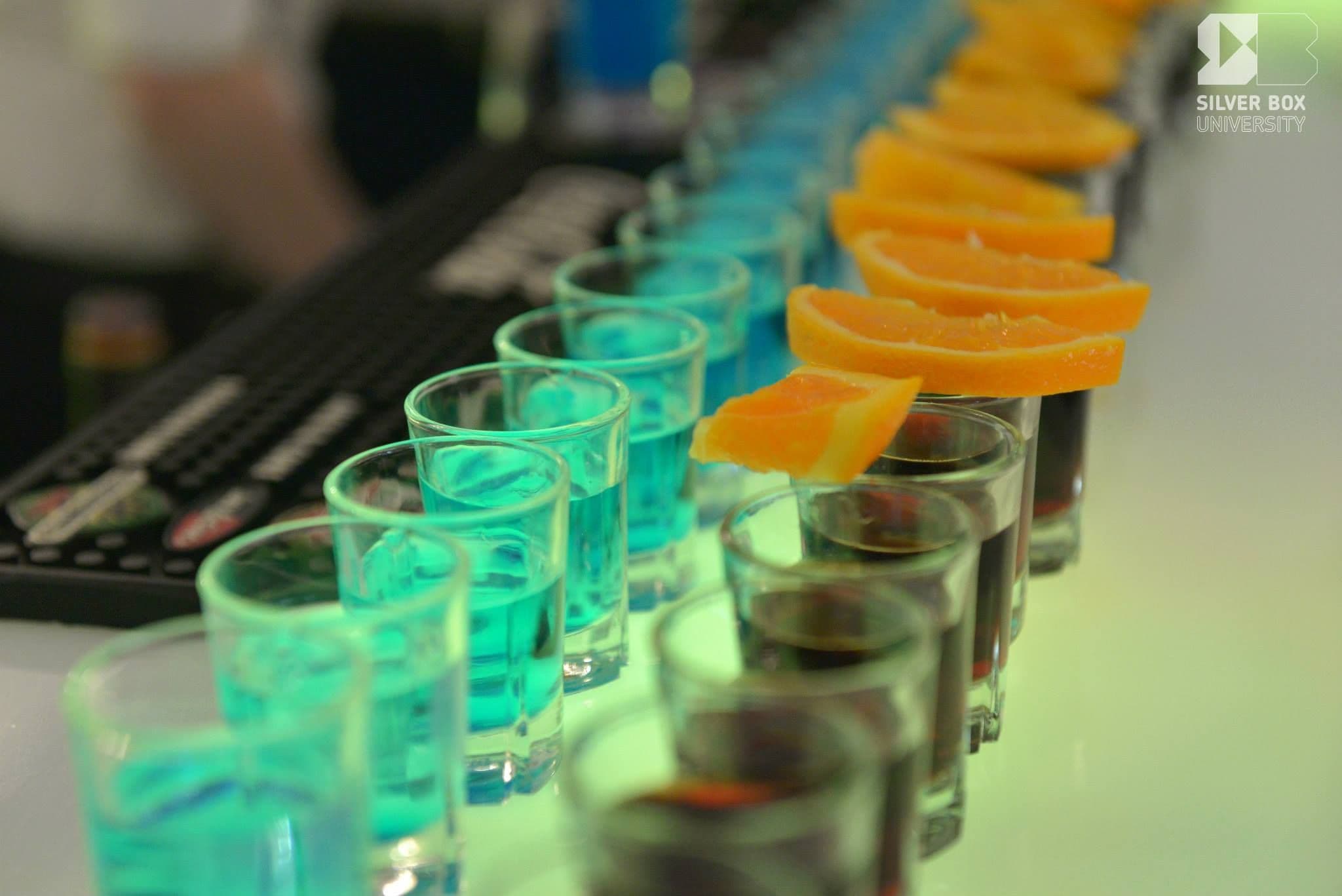 Barmani profesionişti / Cocktail Bar